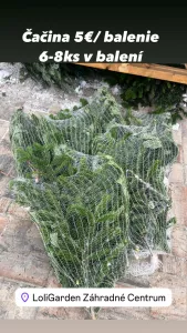 Čačina na Vianoce – Balenie za 5 €